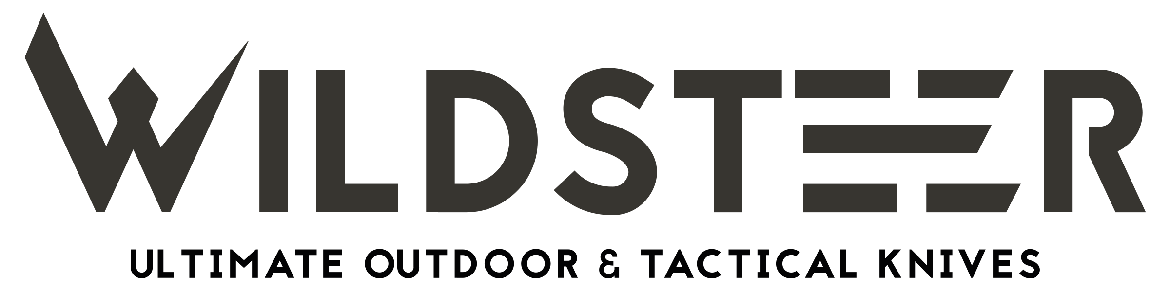 20200728  Wildsteer  Logo Tactique