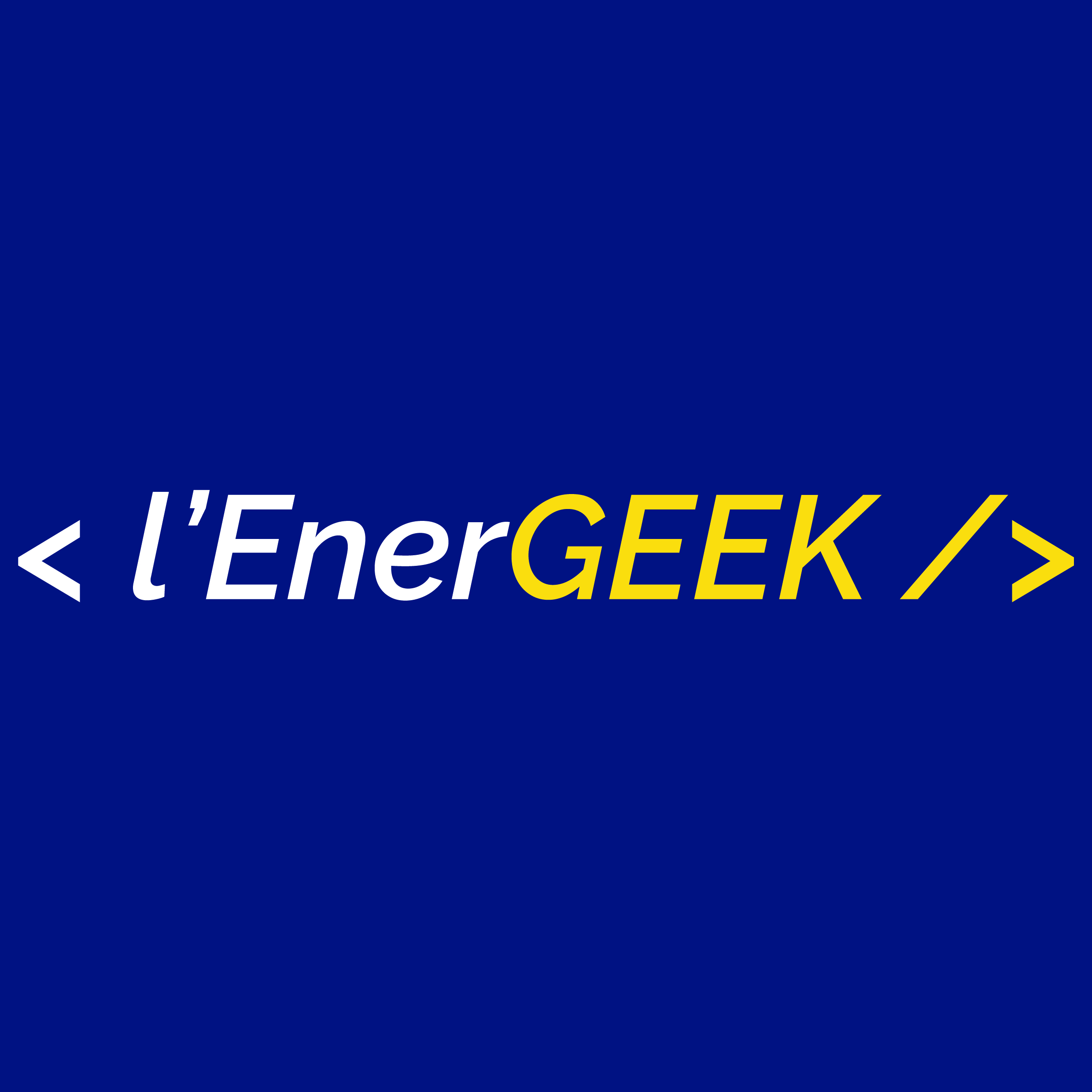 Lenergeek Logo Carre